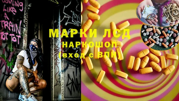 индика Медногорск
