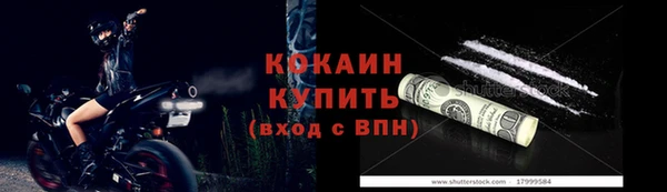 индика Медногорск