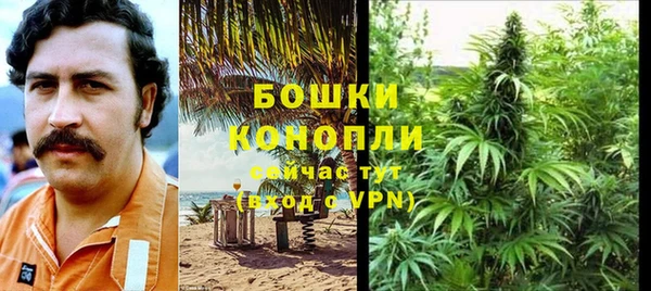 индика Медногорск